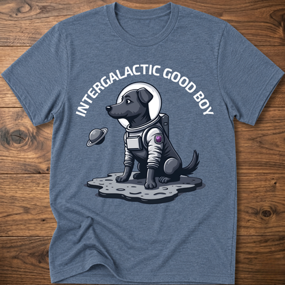 Heather blue “Intergalactic Good Boy” dog graphic T-shirt with short sleeves